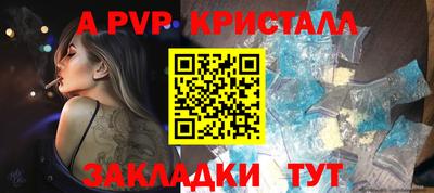 таблы Новозыбков